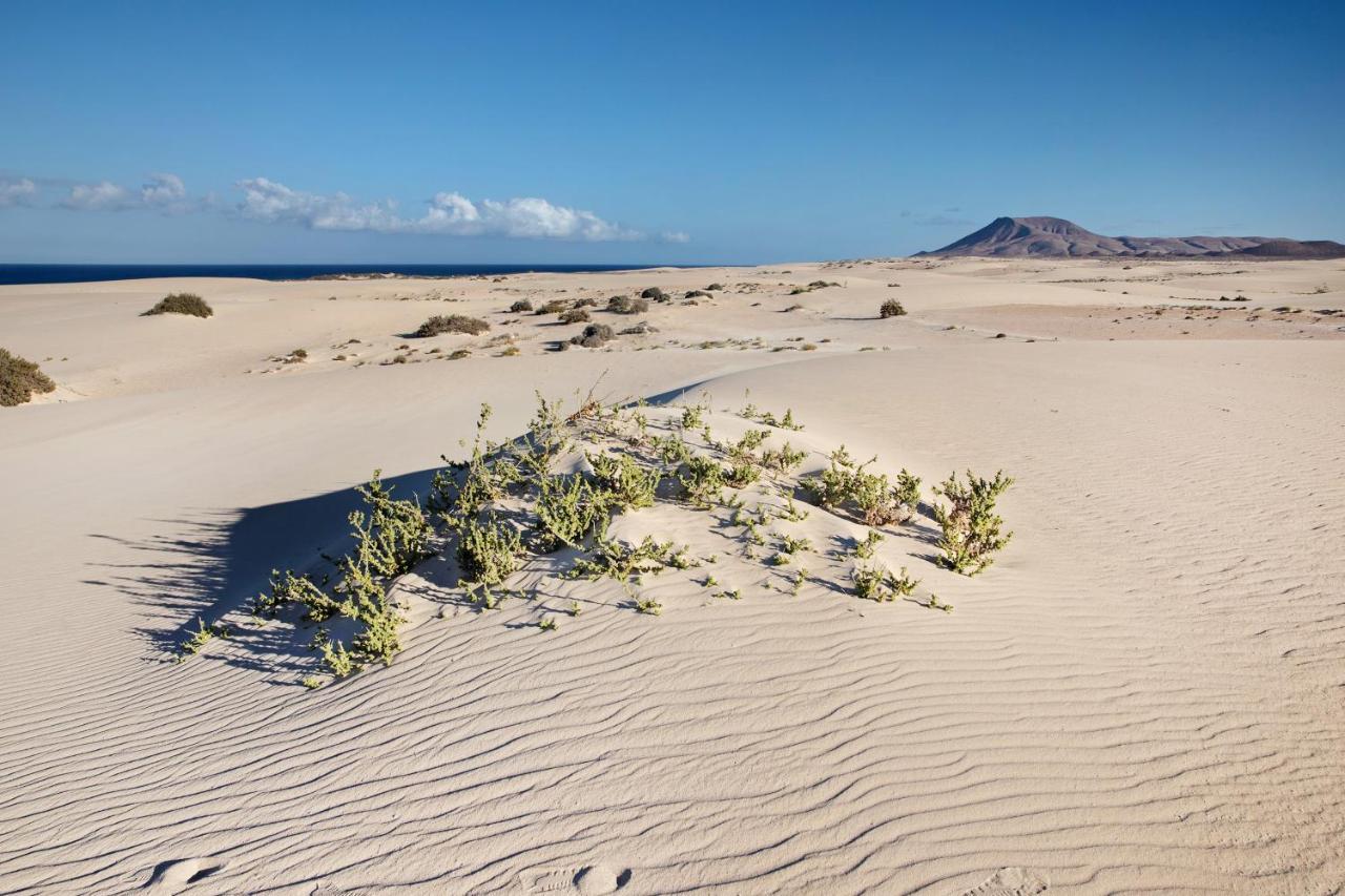 Las Fuentes Corralejo Bagian luar foto
